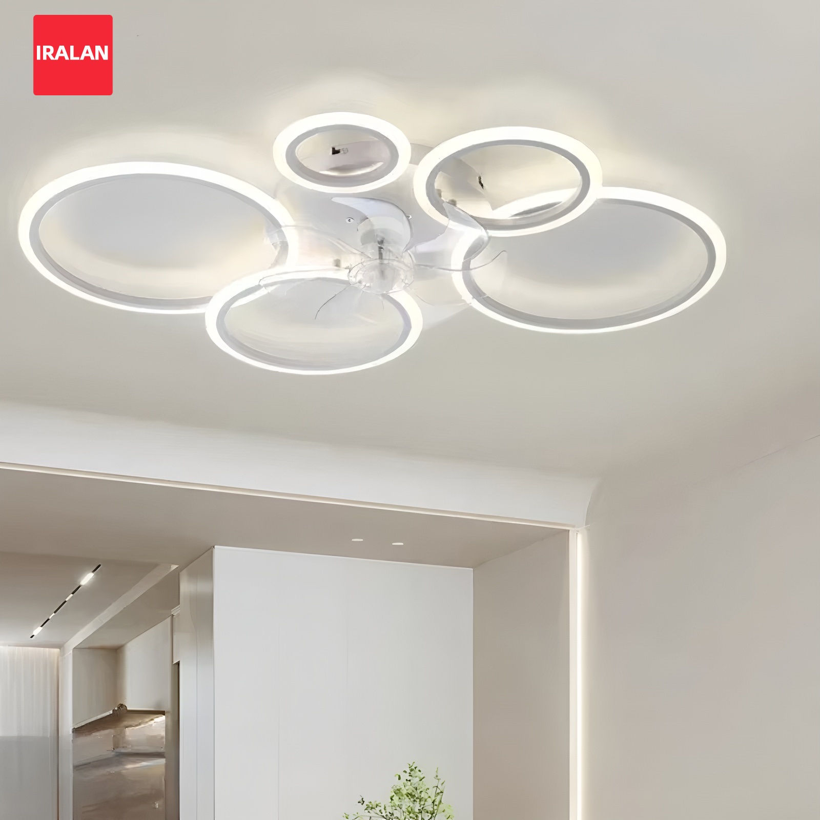 Decor Lighting Ceiling Fans - Ring Ceiling Fan with LED Lighting